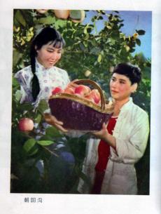 朝陽溝（豫?。? referrerpolicy=