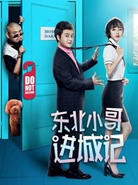 東北小哥進城記