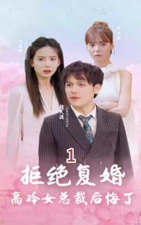 拒絕復(fù)婚高冷女總裁后悔了