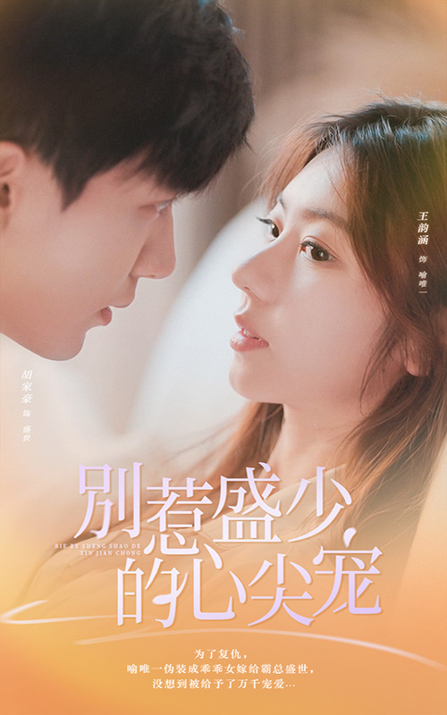 別惹盛少的心尖寵