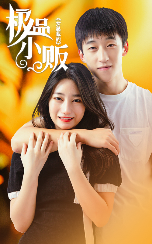 女總裁的極品小販