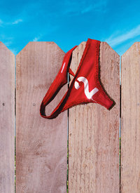 鄰居大戰(zhàn)2:姐妹會崛起