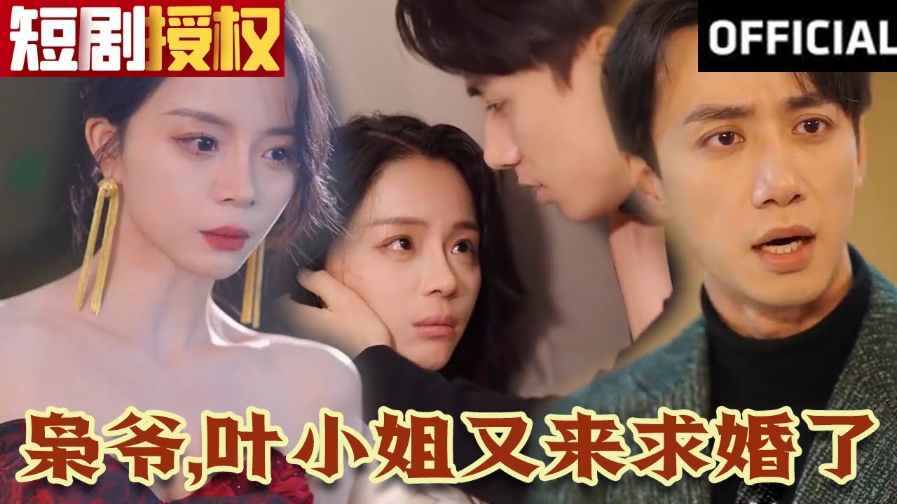 梟爺，葉小姐又來求婚了