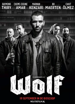 狼(2013)