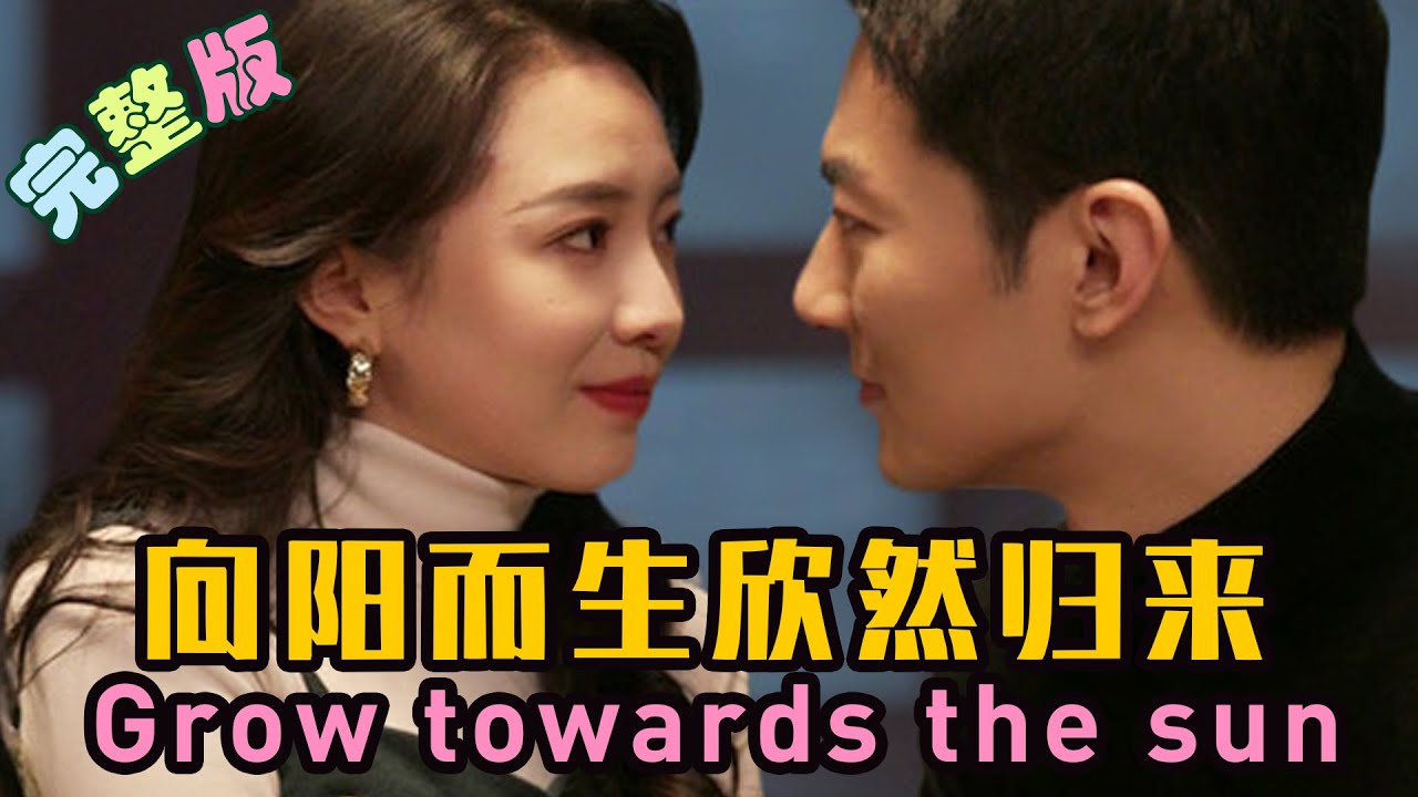 向陽而生 欣然歸來