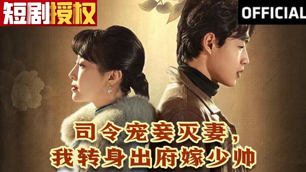 司令寵妾滅妻，我轉(zhuǎn)身出府嫁少帥