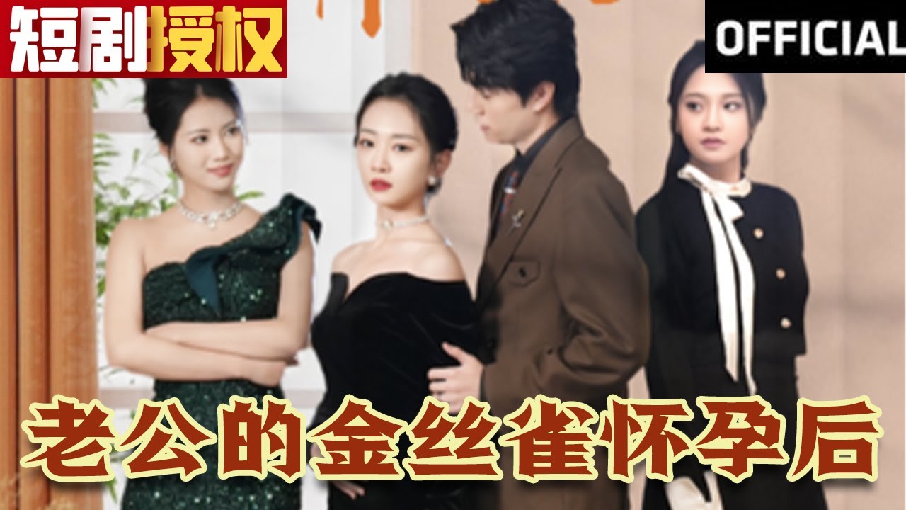 老公的金絲雀懷孕后