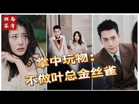 掌中玩物：不做葉總金絲雀