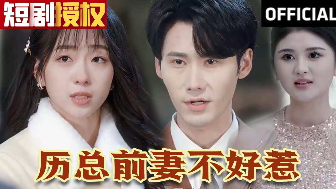 歷總前妻不好惹