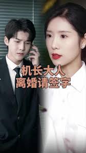 機(jī)長(zhǎng)大人，離婚請(qǐng)簽字