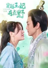 穿越王妃有點(diǎn)野