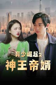 棄少崛起之神王帝婿