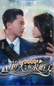 阮小姐的前夫又來求婚了