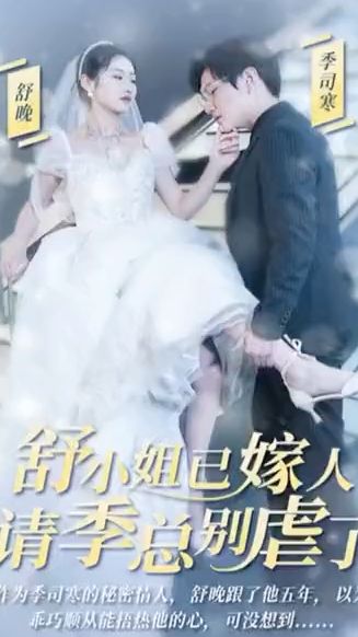 舒小姐已嫁人，請(qǐng)季總別虐了