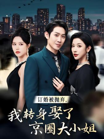 訂婚被拋棄，我轉(zhuǎn)身取了京圈大小姐